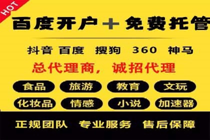 SEM外包服务应用案例分析